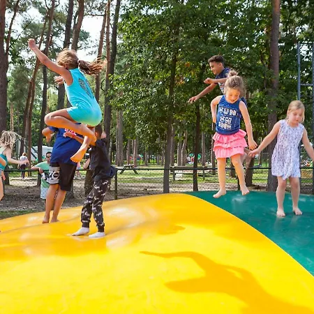 Prázdninový dům Oostappen Arnhem-1 By Interhome *